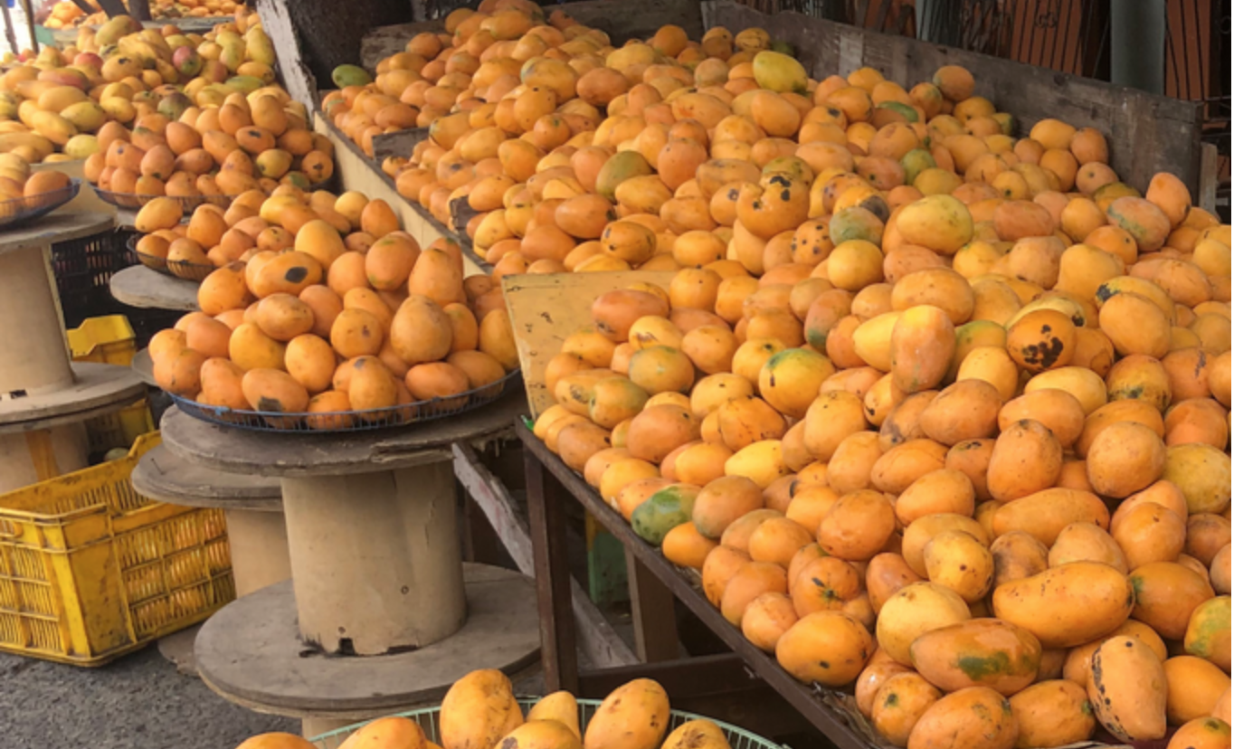 Vuelve Feria Expo Mango en Bani Noticias hora X hora