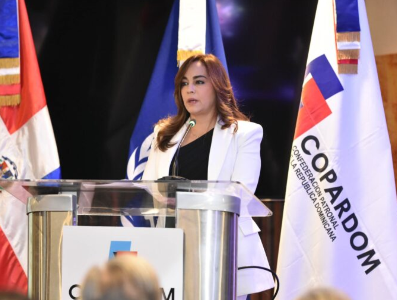 Captura de pantalla 2025-10-30 095246