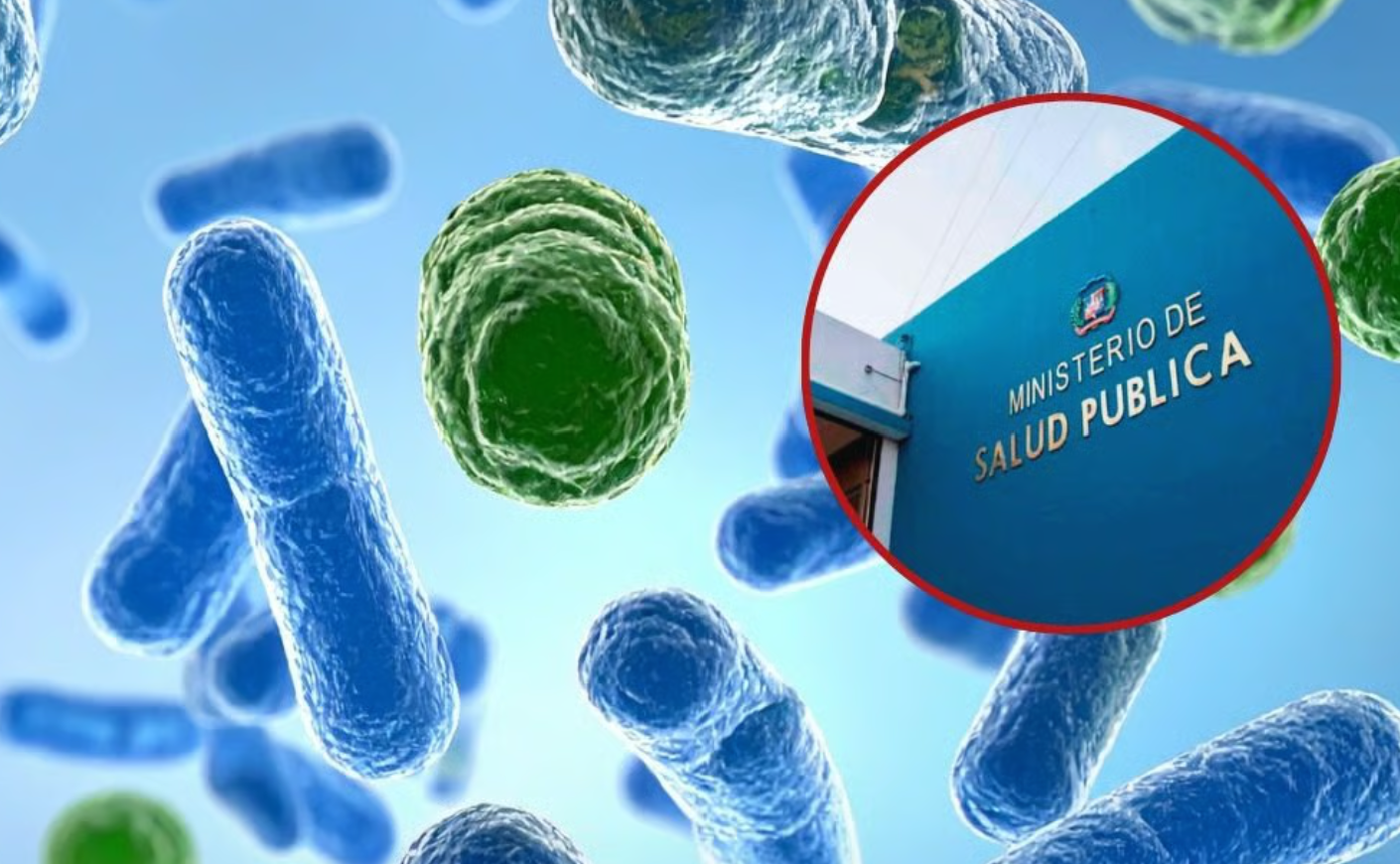 Captura de pantalla 2025-11-15 124841