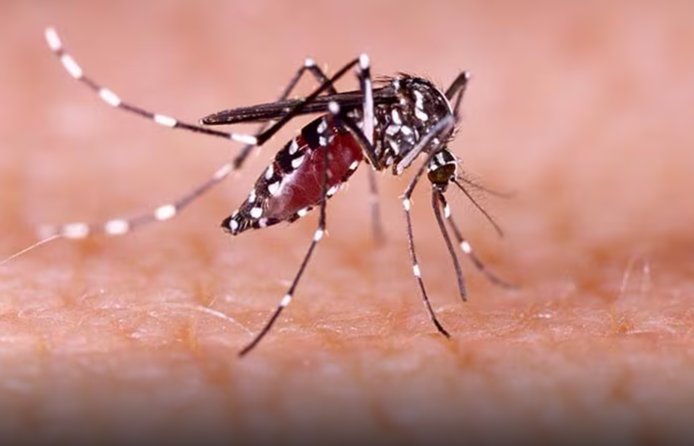 Captura de pantalla 2025-11-27 174401