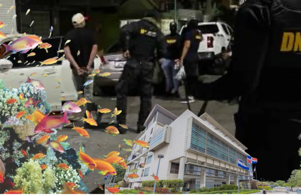 Captura de pantalla 2025-12-06 125626