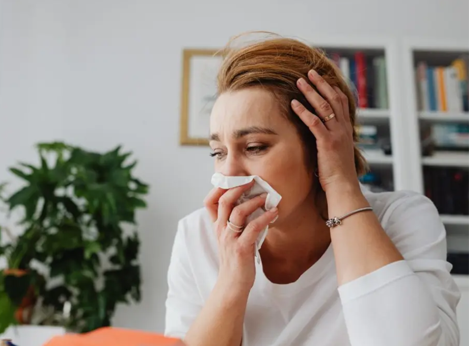 Captura de pantalla 2025-12-12 121730