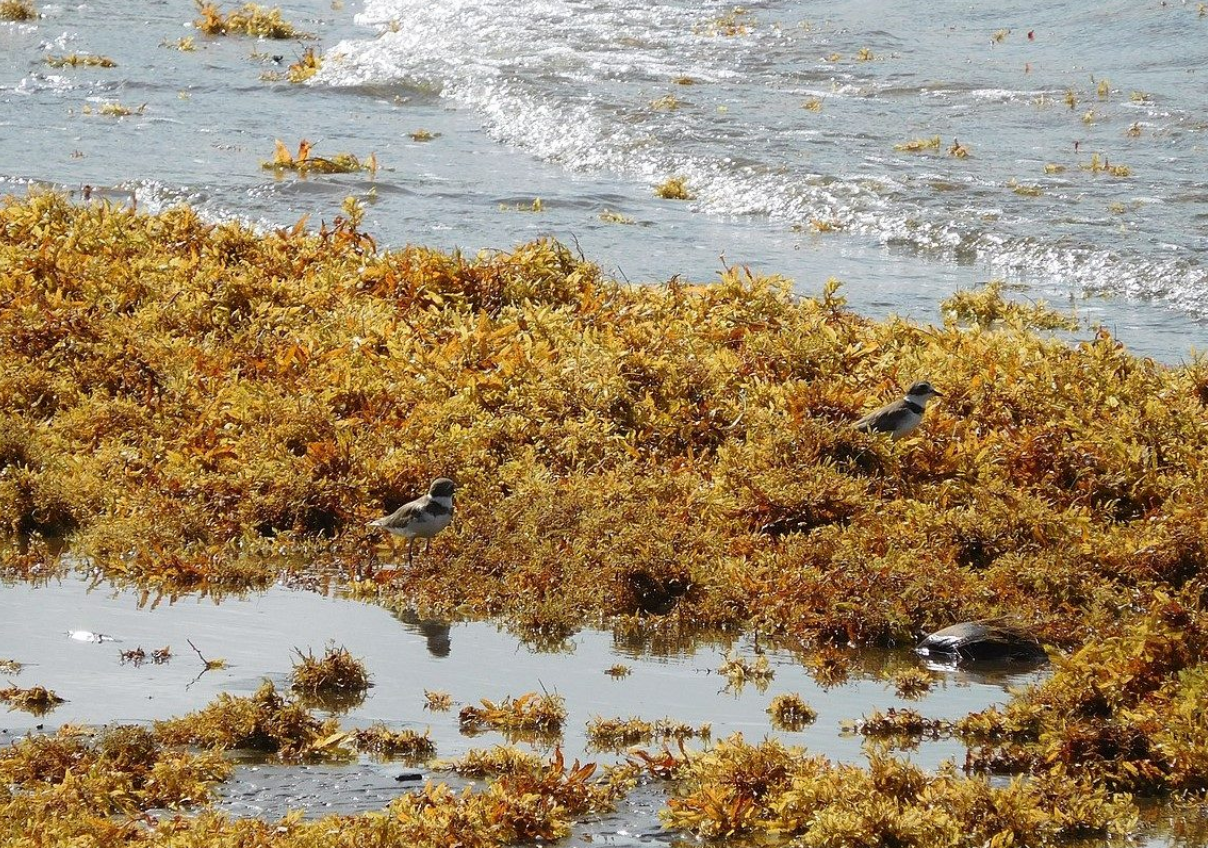 Captura de pantalla 2025-12-13 194217