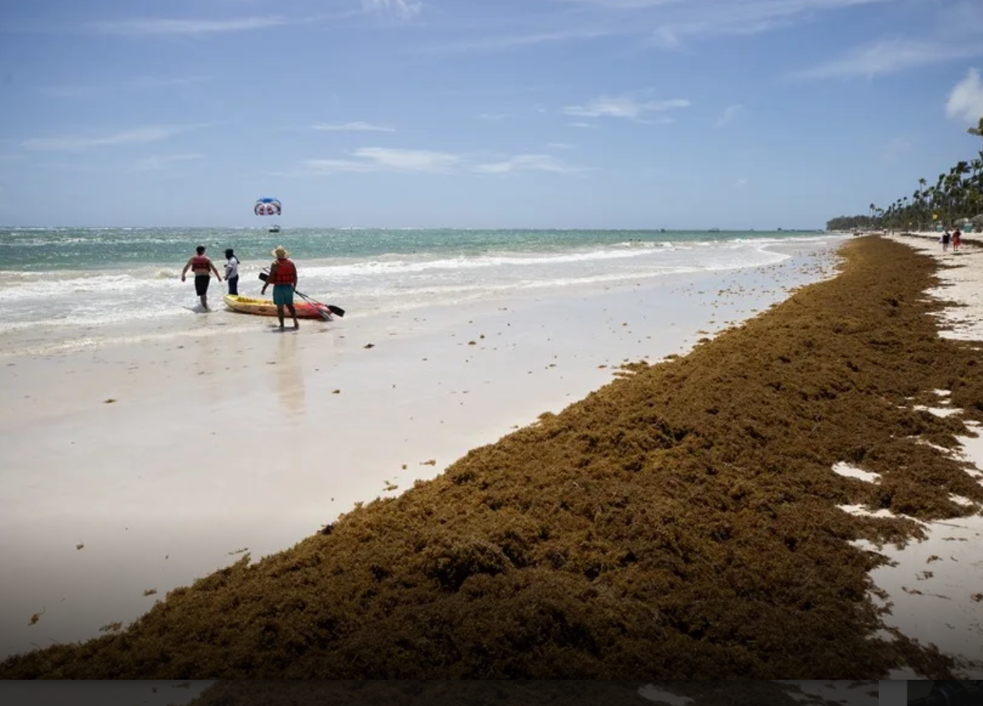 Captura de pantalla 2025-12-16 184233