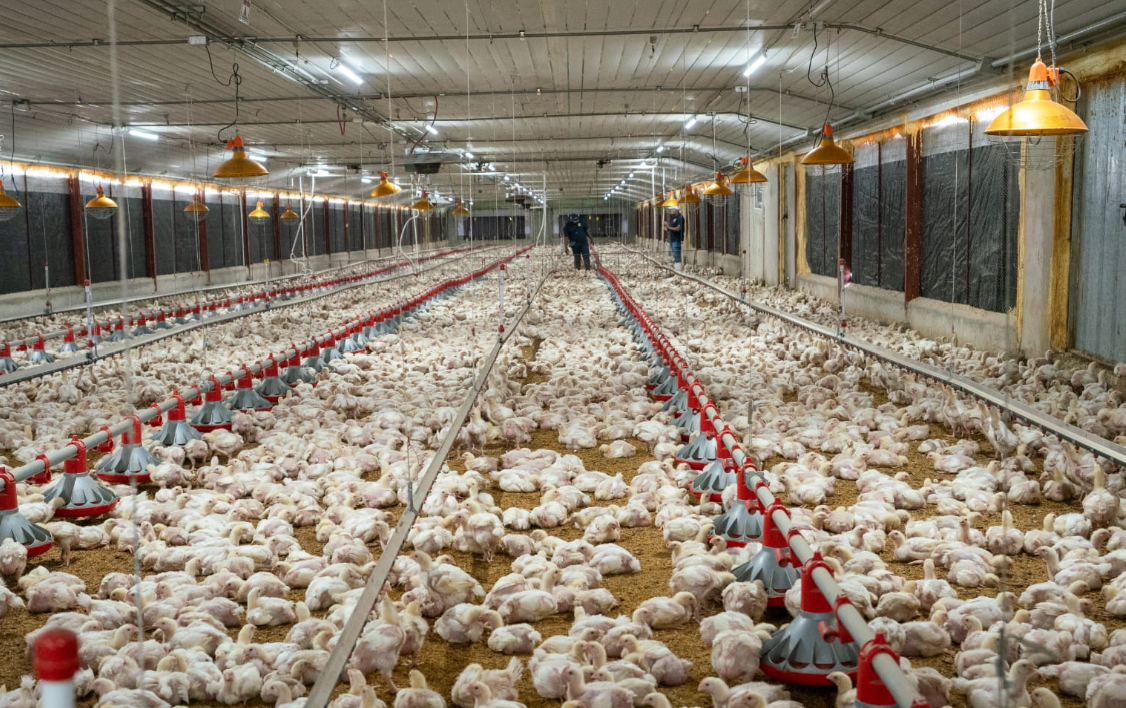 Captura de pantalla 2025-12-19 090921