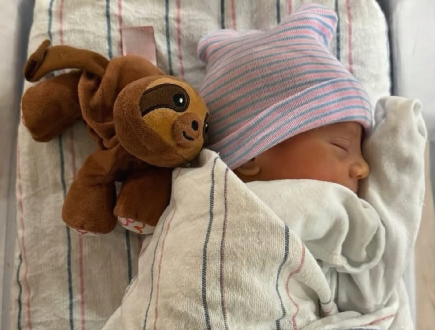 Captura de pantalla 2025-12-23 081833