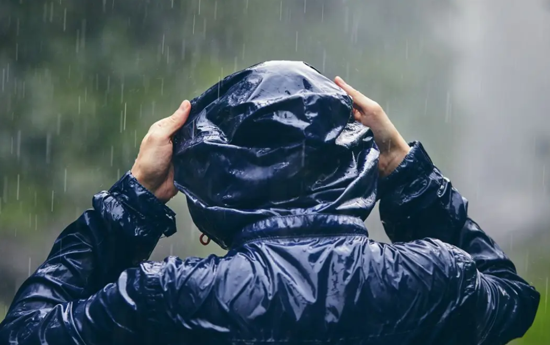 Captura de pantalla 2026-01-01 090232